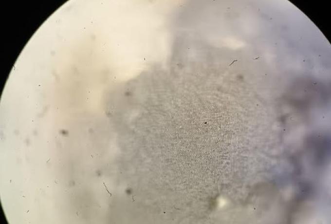 The Dofamine team is actively implementing brain-computer interfaces (BCIs) to control complex objects, moving from theory to practical solutions at the interface of engineering and medicine.