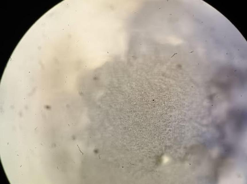 The Dofamine team is actively implementing brain-computer interfaces (BCIs) to control complex objects, moving from theory to practical solutions at the interface of engineering and medicine.